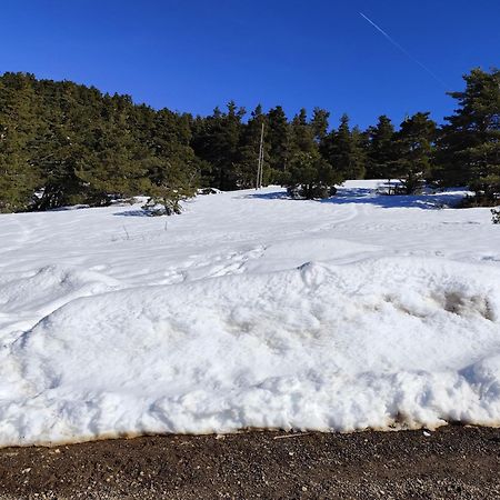 Appartement Greoliere Les Neiges Avec Exterieur Греольєр Екстер'єр фото